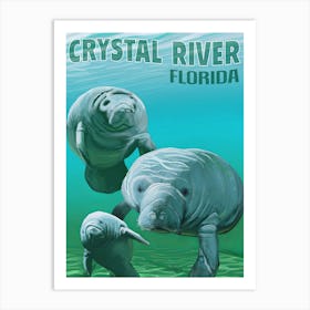 Crystal River Florida Art Print