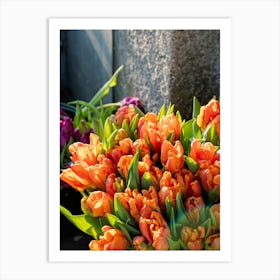 Orange Tulips 1 Art Print