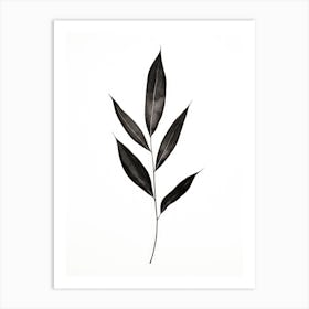 Black Leaf Art Print