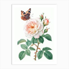 English Roses Painting Rose With Butterfly 2 Art Print