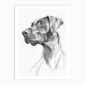 Spaniel Doberman Dog Charcoal Line 1 Art Print