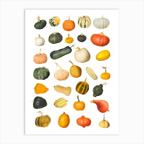 Pumpkins And Gourds And Squash Art Print
