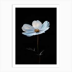 White Cosmos Flower 4 Art Print