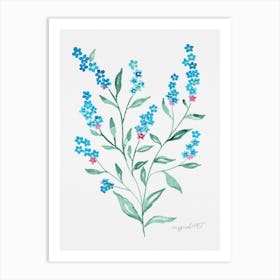 Forget-me-not 1 Art Print