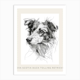 Nova Scotia Duck Tolling Retriever Line Sketch Poster Art Print