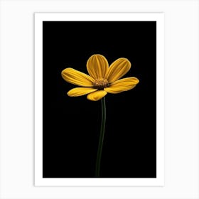 Single Yellow Daisy 7 Art Print