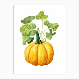 Delicata Squash Pumpkin Watercolour Illustration 3 Art Print