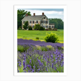 Lavender Field 23 Art Print