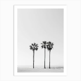 Three Palm Trees On The Beach Art Print