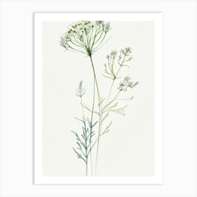 Angelica Herb Minimalist Watercolour Art Print