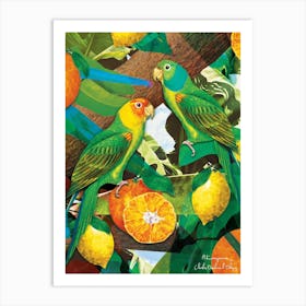 Parrots And Oranges Art Print