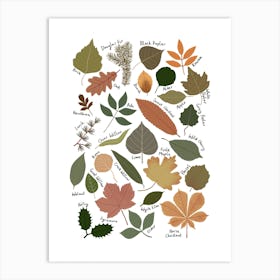 Leaf Chart Art Print