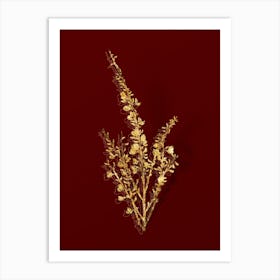 Vintage White Broom Botanical in Gold on Red Art Print