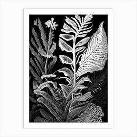 New York Fern Wildflower Linocut 2 Art Print