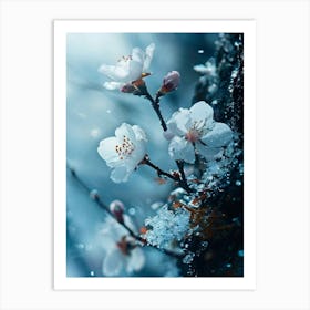 Cherry Blossoms 3 Art Print