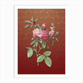 Vintage Cabbage Rose Botanical on Falu Red Pattern n.0638 Art Print