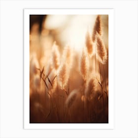 Pampas Grass At Morning Art Print