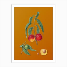 Vintage Walnut Peach Botanical on Sunset Orange n.0519 Art Print