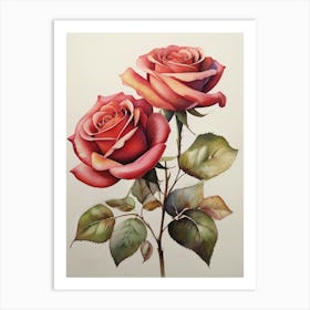 Beautiful Two Roses Botanical Art Print