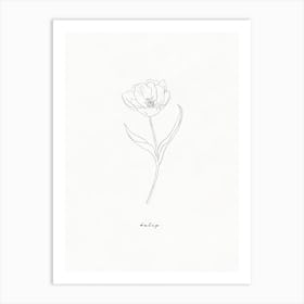 Tulip Line Drawing Art Print