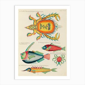 Colourful And Surreal Illustrations Of Fishes And Crabs Found In The Indian And Pacific Oceans, Louis Renard(65) Art Print