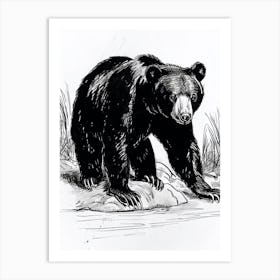 Malayan Sun Bear Standing On A Riverbank Ink Illustration 2 Art Print
