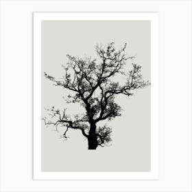 Bare Tree 2 Art Print