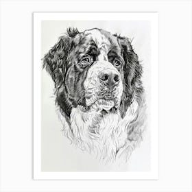 Bernese Mountain Dog Line Sketch 4 Art Print