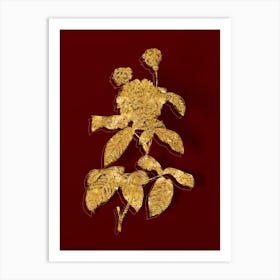 Vintage Agatha Rose in Bloom Botanical in Gold on Red n.0382 Art Print