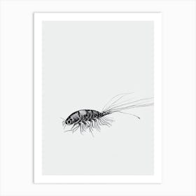 Emperor Shrimp Black & White Drawing Art Print