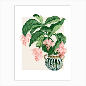 Fuchsia Art Print