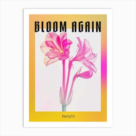 Hot Pink Amaryllis 2 Poster Art Print