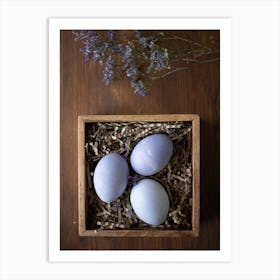 Easter Eggs 147 Art Print