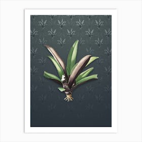 Vintage Boat Lily Botanical on Slate Gray Pattern n.2369 Art Print