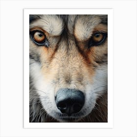 Indian Wolf Eye 2 Art Print