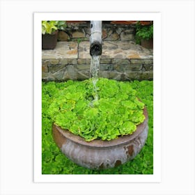 Water Fountain In The Garden Art Print