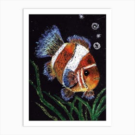 Clownfish drawn by Paoling Rees  Art Print