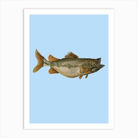 Green Fish Illustration 1 Poster