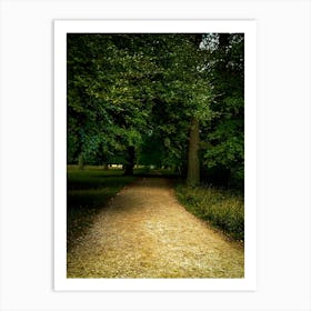 Kongens Dyrhave near Copenhagen tree tunnel Art Print