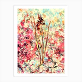 Impressionist Star of Bethlehem Botanical Painting in Blush Pink and Gold n.0035 Art Print