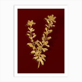 Vintage Daphne Sericea Flowers Botanical in Gold on Red n.0083 Art Print