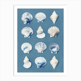 Monochrome Seashells Art Print