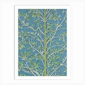 Pagoda Tree 2 tree Vintage Botanical Art Print