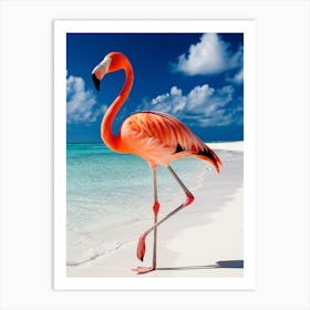 Flamingo On The Beach Art Print