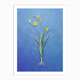 Vintage Ixia Bulbifera Botanical Art on Blue Perennial n.1400 Art Print