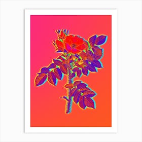 Neon Kamtschatka Rose Botanical in Hot Pink and Electric Blue n.0596 Art Print