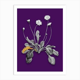 Vintage Daisy Flowers Black and White Gold Leaf Floral Art on Deep Violet n.0819 Art Print