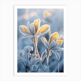 Frosty Botanical Winter Aconite 1 Art Print