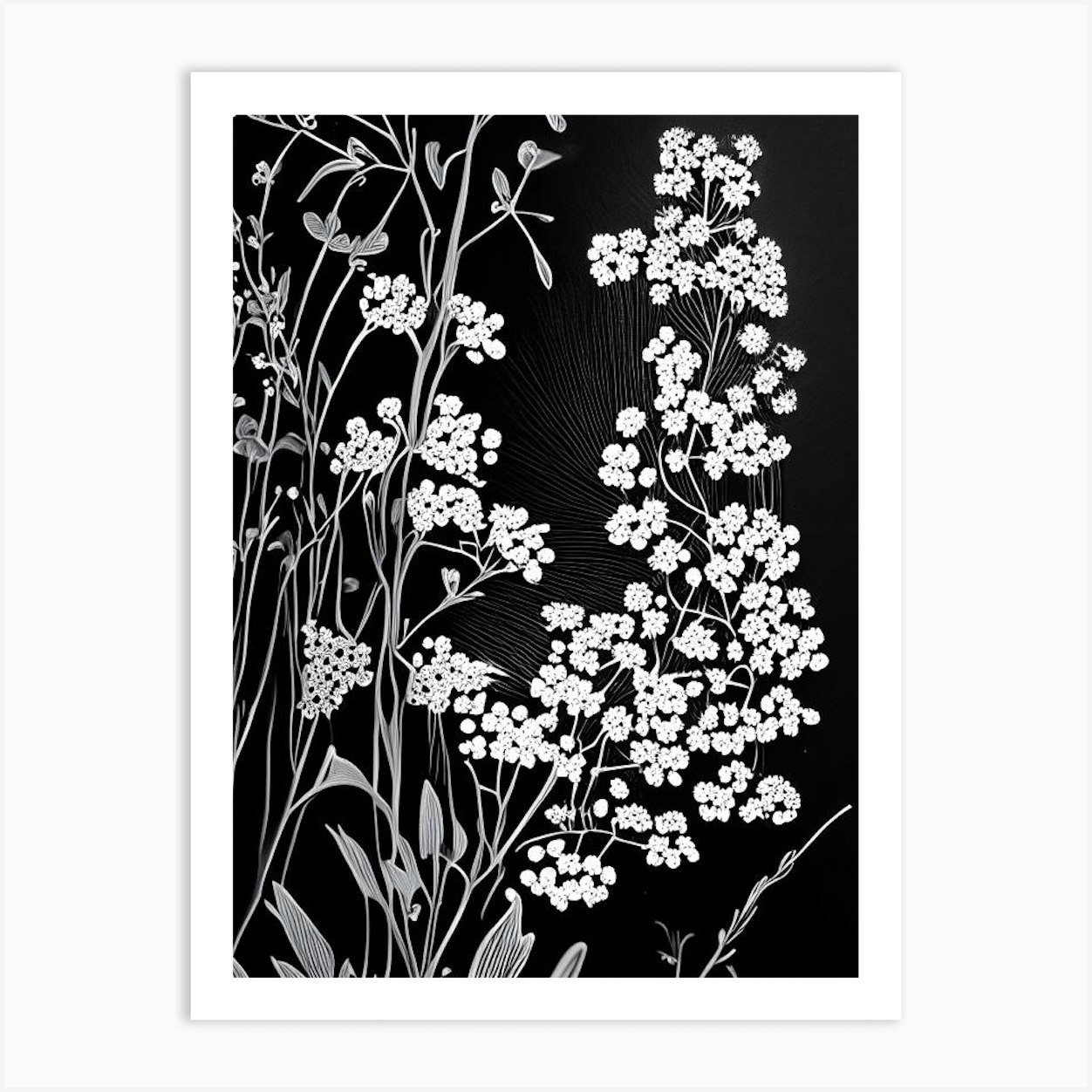 Baby's Breath Wildflower Linocut 1 Art Print