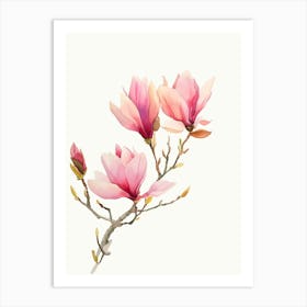 Magnolia Blossoms 1 Art Print